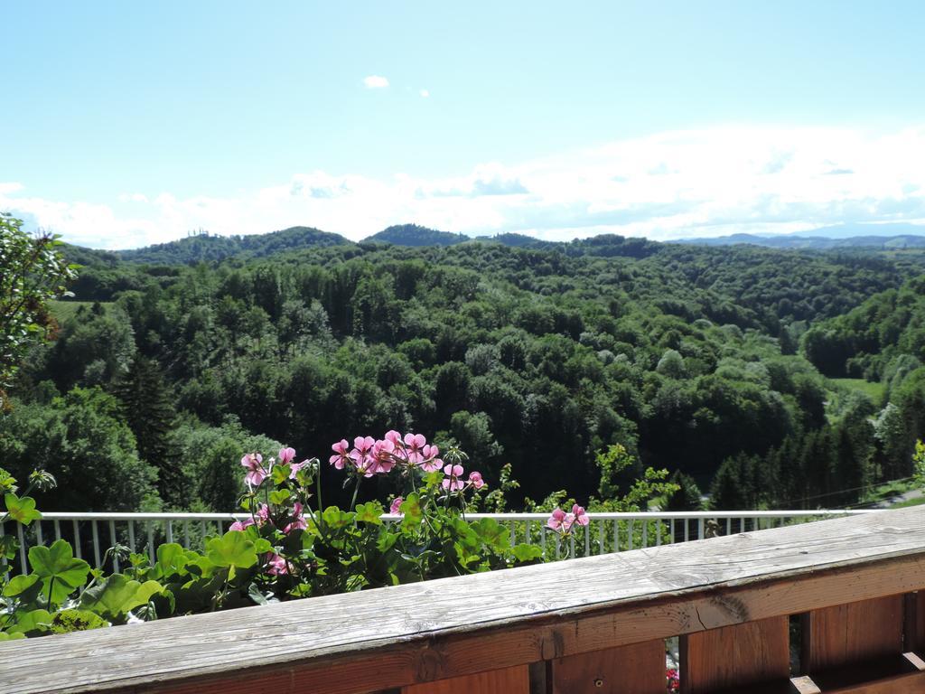 Weingut Gaestezimmer Gruber Ehrenhausen Ngoại thất bức ảnh
