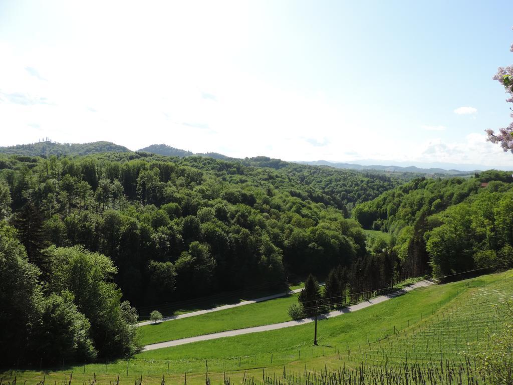 Weingut Gaestezimmer Gruber Ehrenhausen Ngoại thất bức ảnh