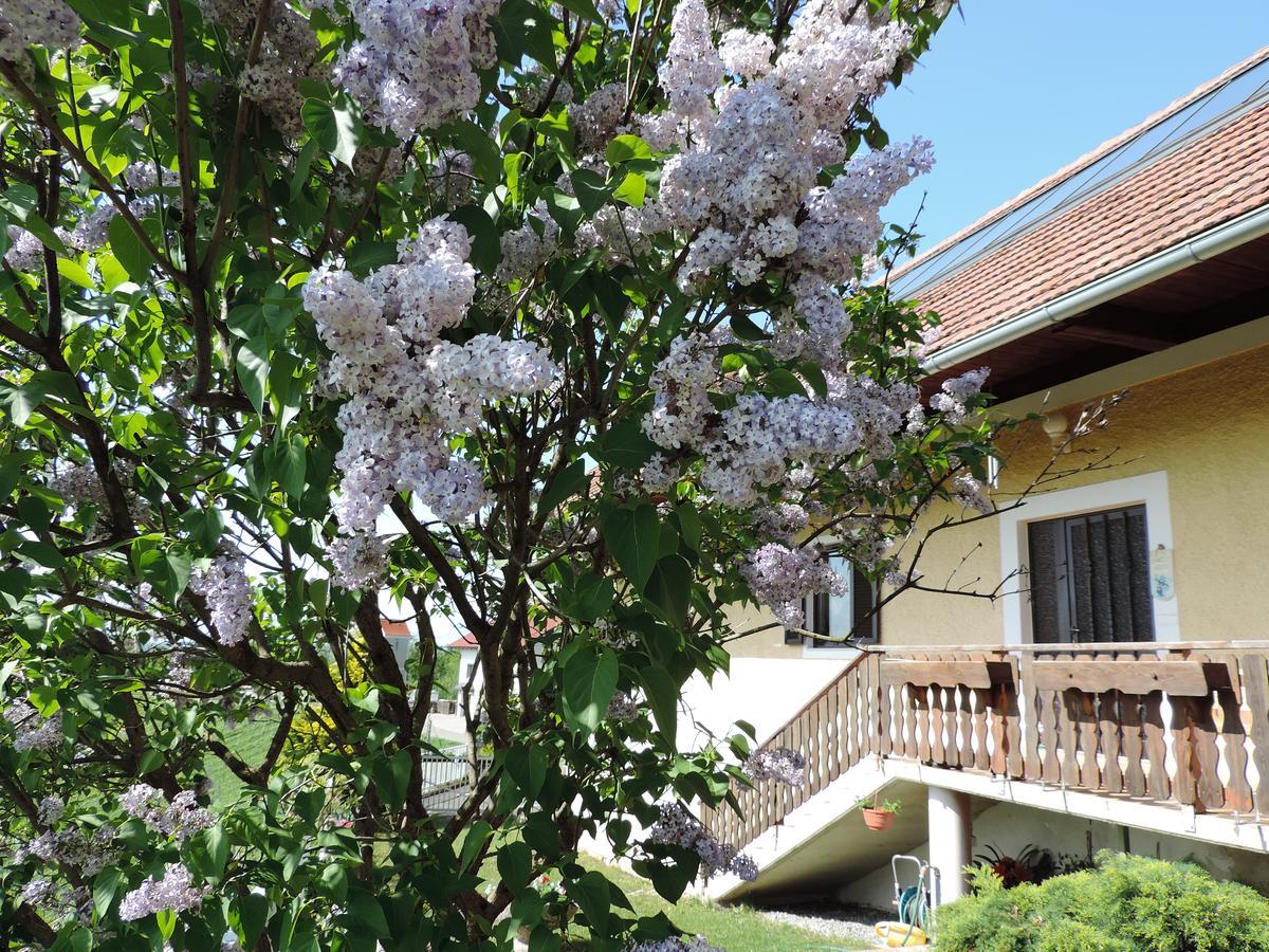 Weingut Gaestezimmer Gruber Ehrenhausen Phòng bức ảnh